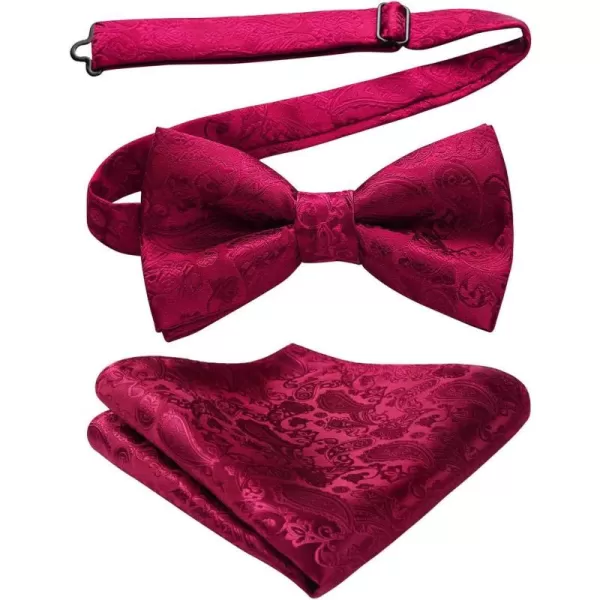 HISDERN Bow Ties for Men Paisley Floral Pre-tied Bowtie Pocket Square Set Men's Formal Bow Ties Wedding Party…