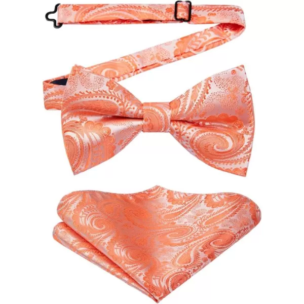HISDERN Bow Ties for Men Paisley Floral Pre-tied Bowtie Pocket Square Set Men's Formal Bow Ties Wedding Party…