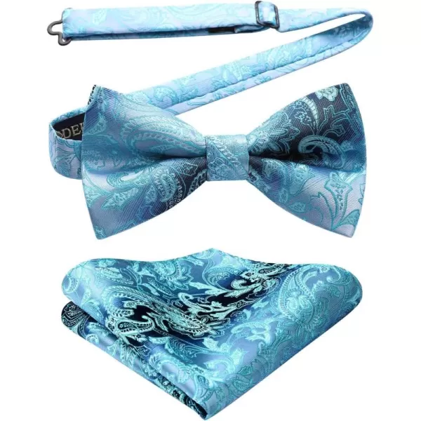 HISDERN Bow Ties for Men Paisley Floral Pre-tied Bowtie Pocket Square Set Men's Formal Bow Ties Wedding Party…