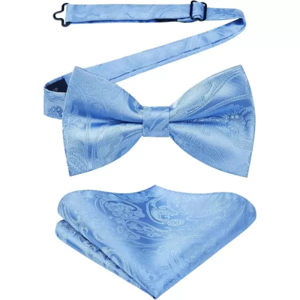 HISDERN Bow Ties for Men Paisley Floral Pre-tied Bowtie Pocket Square Set Men's Formal Bow Ties Wedding Party…