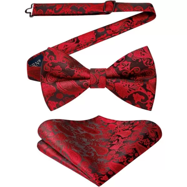 HISDERN Bow Ties for Men Paisley Floral Pre-tied Bowtie Pocket Square Set Men's Formal Bow Ties Wedding Party…