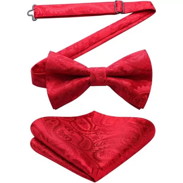HISDERN Bow Ties for Men Paisley Floral Pre-tied Bowtie Pocket Square Set Men's Formal Bow Ties Wedding Party…