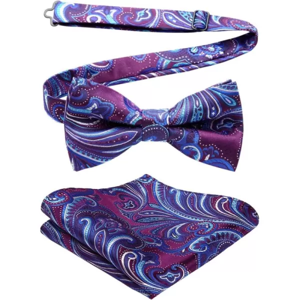 HISDERN Bow Ties for Men Paisley Floral Pre-tied Bowtie Pocket Square Set Men's Formal Bow Ties Wedding Party…