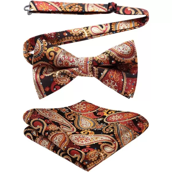 HISDERN Bow Ties for Men Paisley Floral Pre-tied Bowtie Pocket Square Set Men's Formal Bow Ties Wedding Party…