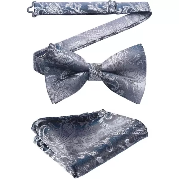 HISDERN Bow Ties for Men Paisley Floral Pre-tied Bowtie Pocket Square Set Men's Formal Bow Ties Wedding Party…