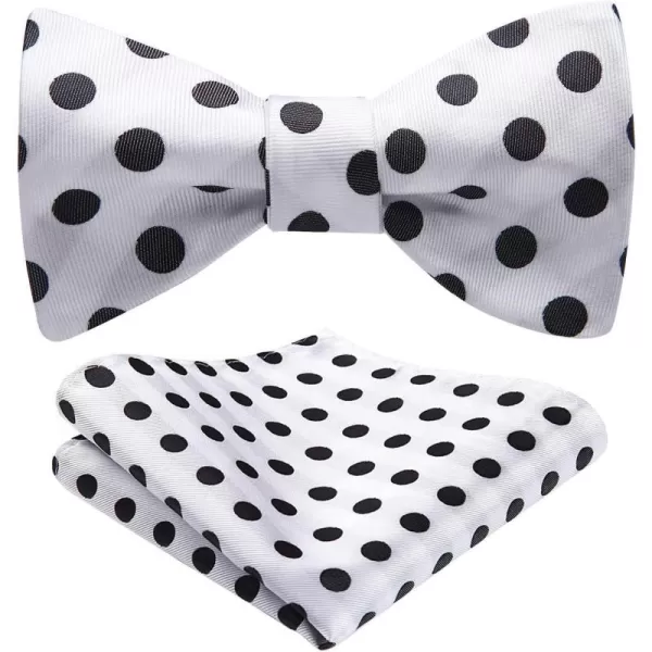 HISDERN Bow Ties for Men Polka Dot Selftie Bowtie and Pocket Square Classic Business Tuxedo Wedding Bowties Handkerchief