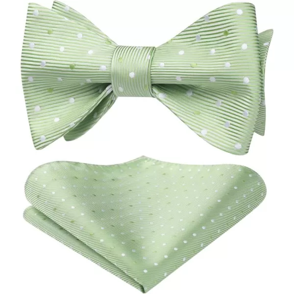 HISDERN Bow Ties for Men Polka Dot Selftie Bowtie and Pocket Square Classic Business Tuxedo Wedding Bowties Handkerchief