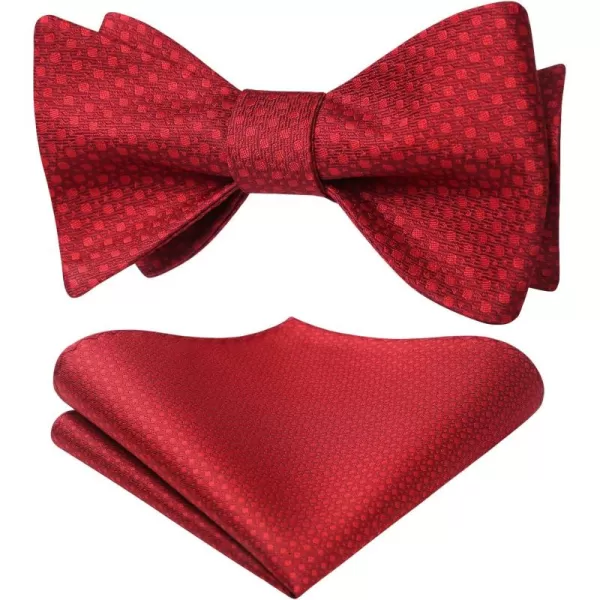 HISDERN Bow Ties for Men Polka Dot Selftie Bowtie and Pocket Square Classic Business Tuxedo Wedding Bowties Handkerchief