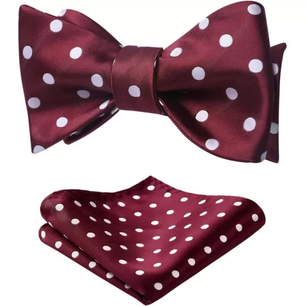 HISDERN Bow Ties for Men Polka Dot Selftie Bowtie and Pocket Square Classic Business Tuxedo Wedding Bowties Handkerchief