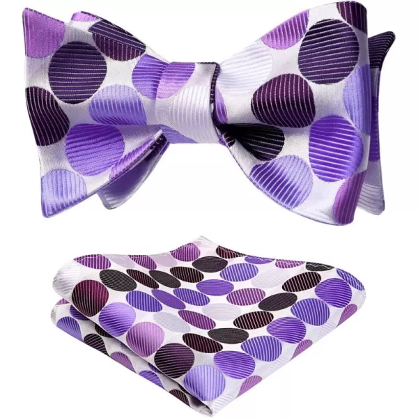 HISDERN Bow Ties for Men Polka Dot Selftie Bowtie and Pocket Square Classic Business Tuxedo Wedding Bowties Handkerchief