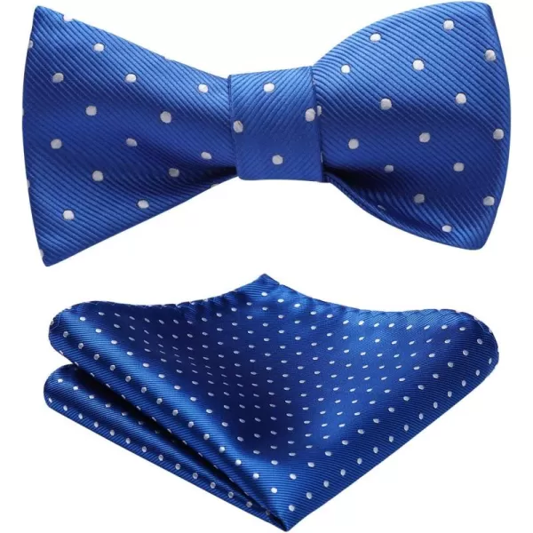 HISDERN Bow Ties for Men Polka Dot Selftie Bowtie and Pocket Square Classic Business Tuxedo Wedding Bowties Handkerchief