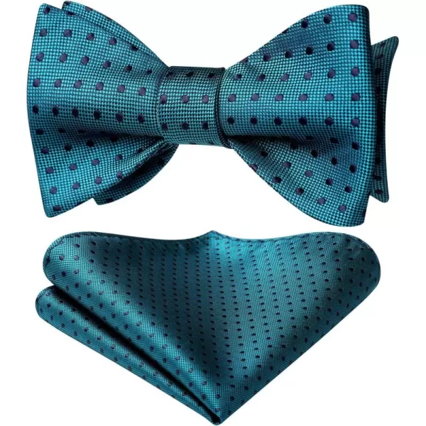 HISDERN Bow Ties for Men Polka Dot Selftie Bowtie and Pocket Square Classic Business Tuxedo Wedding Bowties Handkerchief