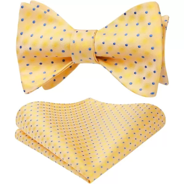 HISDERN Bow Ties for Men Polka Dot Selftie Bowtie and Pocket Square Classic Business Tuxedo Wedding Bowties Handkerchief