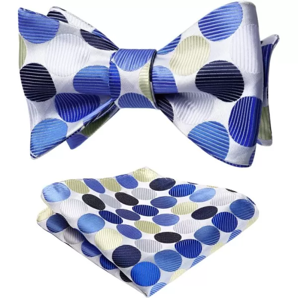 HISDERN Bow Ties for Men Polka Dot Selftie Bowtie and Pocket Square Classic Business Tuxedo Wedding Bowties Handkerchief