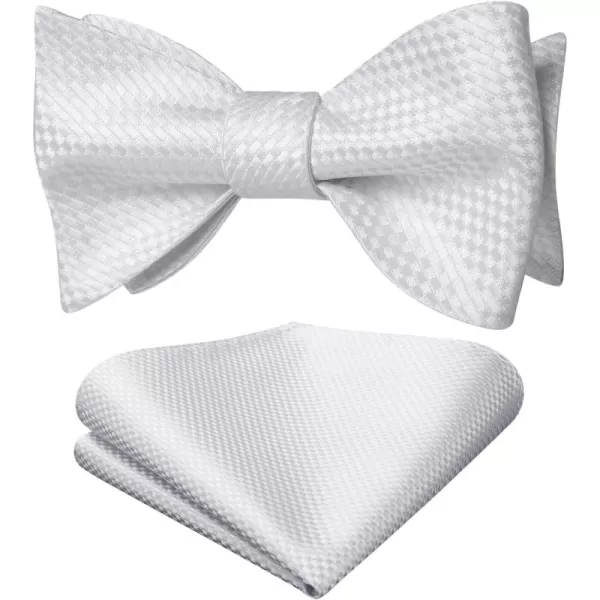 HISDERN Bow Ties for Men Polka Dot Selftie Bowtie and Pocket Square Classic Business Tuxedo Wedding Bowties Handkerchief