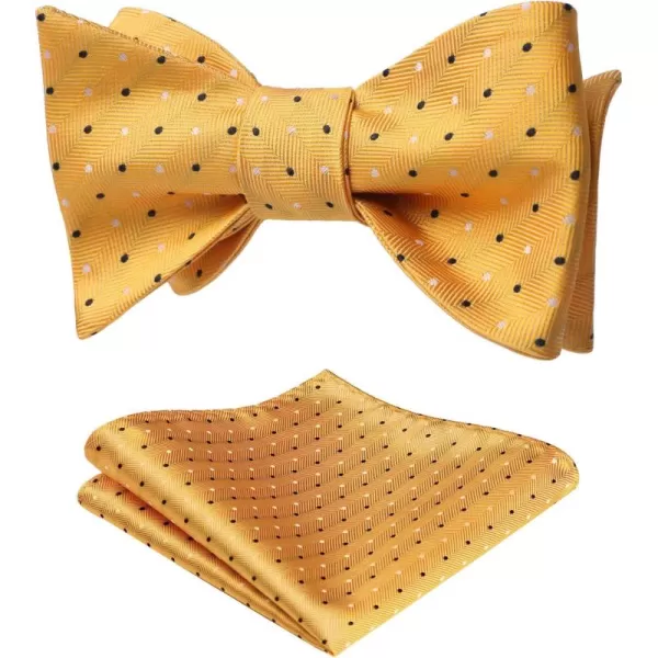 HISDERN Bow Ties for Men Polka Dot Selftie Bowtie and Pocket Square Classic Business Tuxedo Wedding Bowties Handkerchief