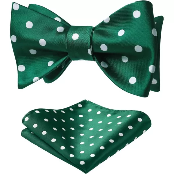 HISDERN Bow Ties for Men Polka Dot Selftie Bowtie and Pocket Square Classic Business Tuxedo Wedding Bowties Handkerchief