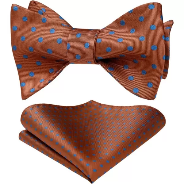 HISDERN Bow Ties for Men Polka Dot Selftie Bowtie and Pocket Square Classic Business Tuxedo Wedding Bowties Handkerchief