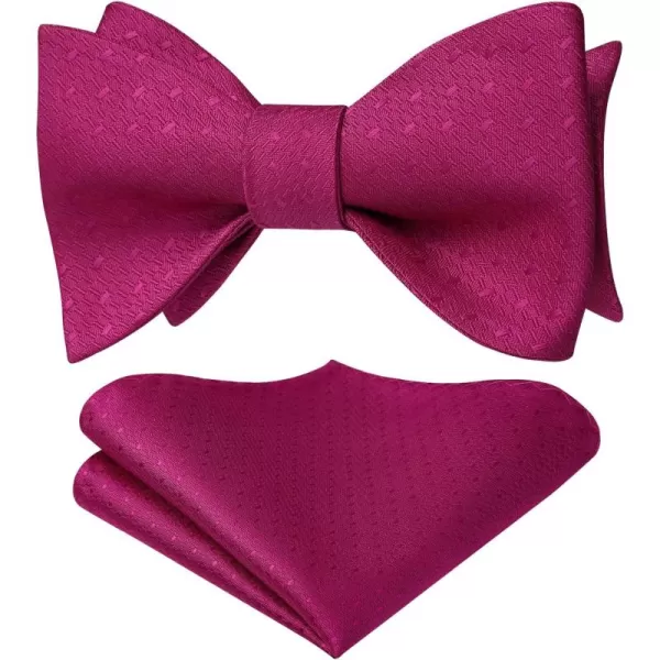 HISDERN Bow Ties for Men Polka Dot Selftie Bowtie and Pocket Square Classic Business Tuxedo Wedding Bowties Handkerchief