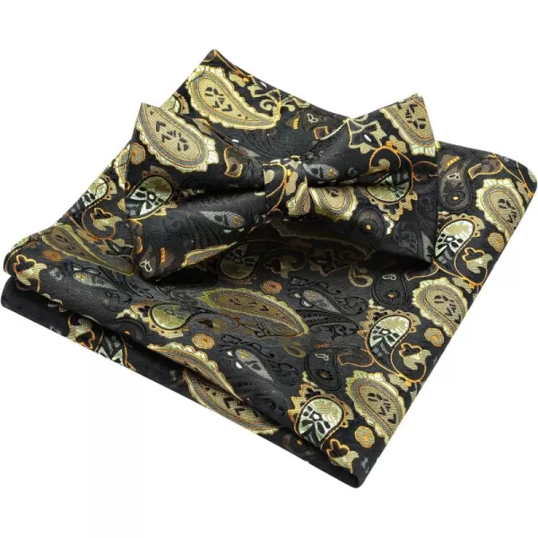 HISDERN Bow Ties for Men Pre-tied Paisley Bow Ties Pocket Square Set Men's Bowtie Wedding Party