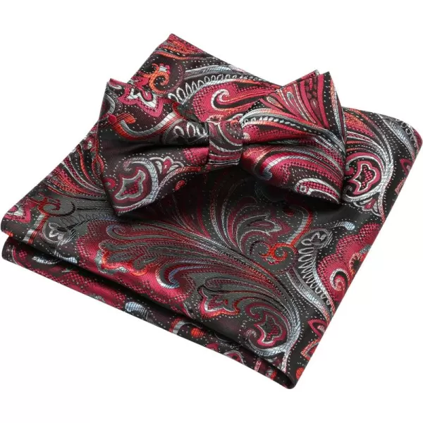 HISDERN Bow Ties for Men Pre-tied Paisley Bow Ties Pocket Square Set Men's Bowtie Wedding Party