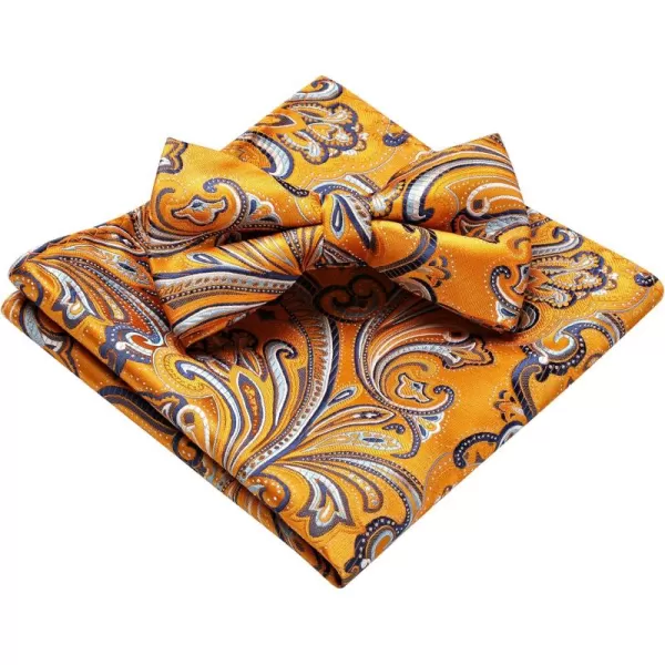 HISDERN Bow Ties for Men Pre-tied Paisley Bow Ties Pocket Square Set Men's Bowtie Wedding Party