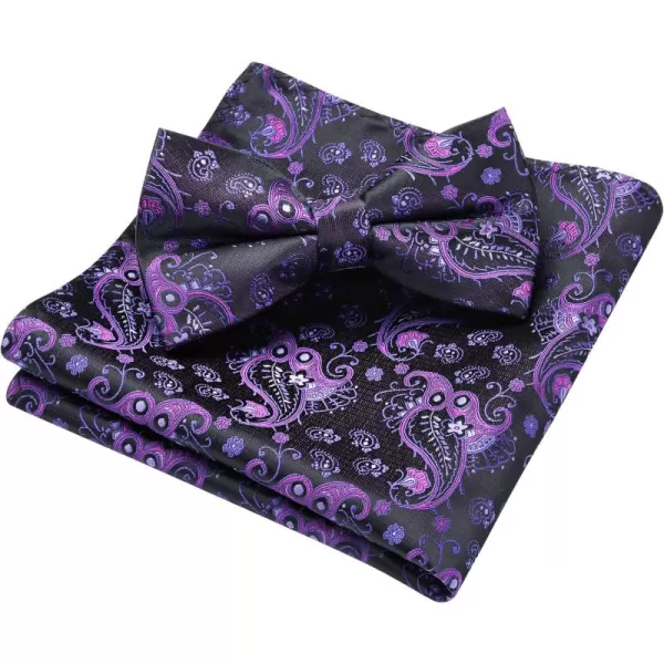 HISDERN Bow Ties for Men Pre-tied Paisley Bow Ties Pocket Square Set Men's Bowtie Wedding Party