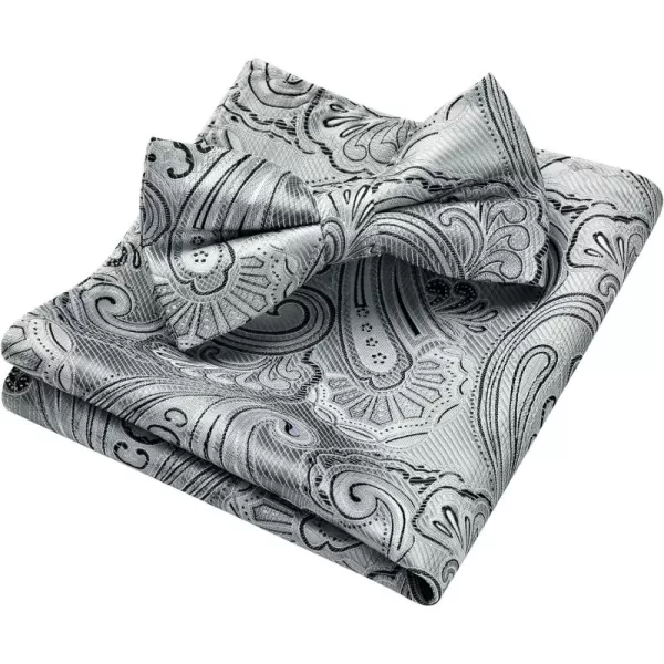 HISDERN Bow Ties for Men Pre-tied Paisley Bow Ties Pocket Square Set Men's Bowtie Wedding Party