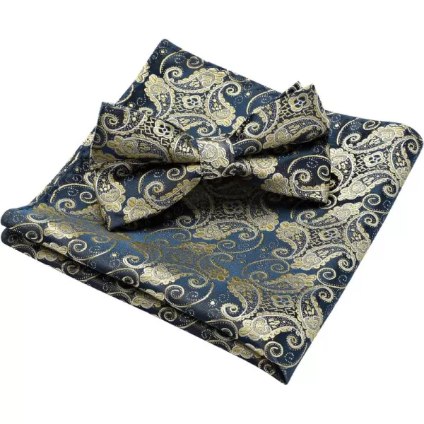 HISDERN Bow Ties for Men Pre-tied Paisley Bow Ties Pocket Square Set Men's Bowtie Wedding Party