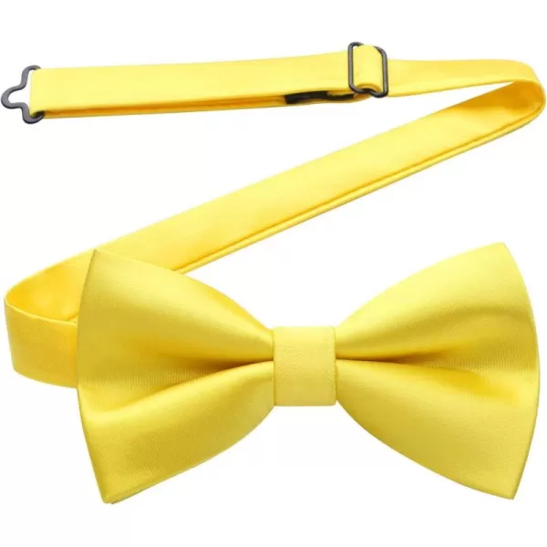 HISDERN Bow Ties for Men Pretied Bowties Classic Formal Business Bow Tie Adjustable Tuxedo Bowtie for Wedding Party