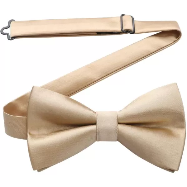 HISDERN Bow Ties for Men Pretied Bowties Classic Formal Business Bow Tie Adjustable Tuxedo Bowtie for Wedding Party