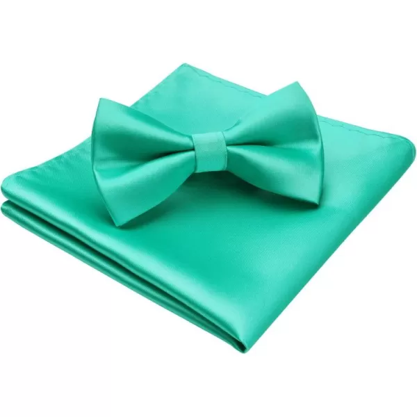 HISDERN Bow Ties for Men Solid Color Pre-Tie Bow Tie and Pocket Square Set Classic Formal Tuxedo Bowties for Wedding Party