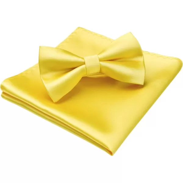 HISDERN Bow Ties for Men Solid Color Pre-Tie Bow Tie and Pocket Square Set Classic Formal Tuxedo Bowties for Wedding Party