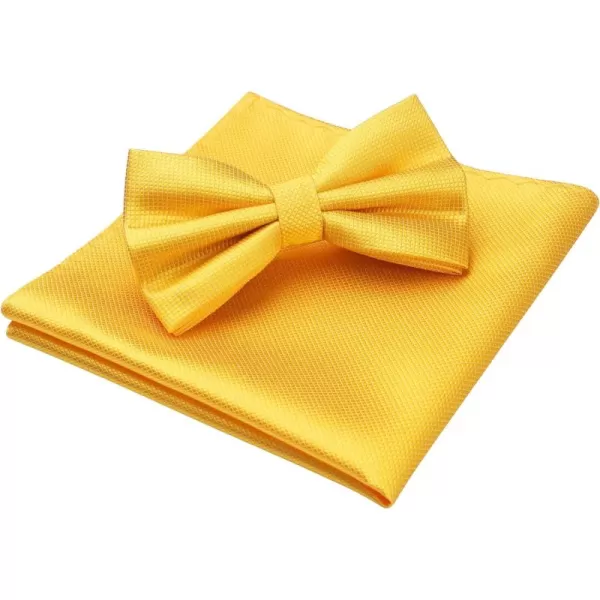 HISDERN Bow Ties for Men Solid Color Pre-Tie Bow Tie and Pocket Square Set Classic Formal Tuxedo Bowties for Wedding Party