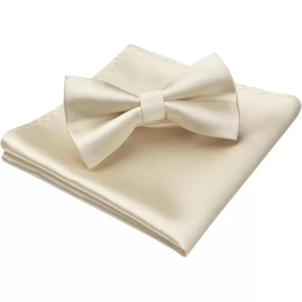 HISDERN Bow Ties for Men Solid Color Pre-Tie Bow Tie and Pocket Square Set Classic Formal Tuxedo Bowties for Wedding Party