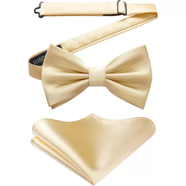 HISDERN Bow Ties for Men Solid Color Pre-Tie Bow Tie and Pocket Square Set Classic Formal Tuxedo Bowties for Wedding Party