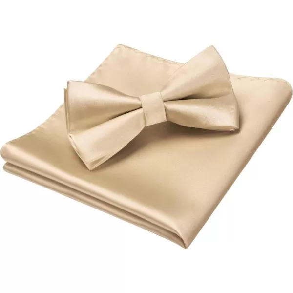 HISDERN Bow Ties for Men Solid Color Pre-Tie Bow Tie and Pocket Square Set Classic Formal Tuxedo Bowties for Wedding Party