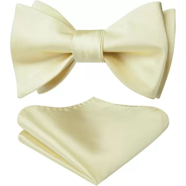 HISDERN Bow Ties for Men Solid Color Self Tie Bow Tie Pocket Square Set Classic Formal Satin Bowties for Tuxedo Wedding Party
