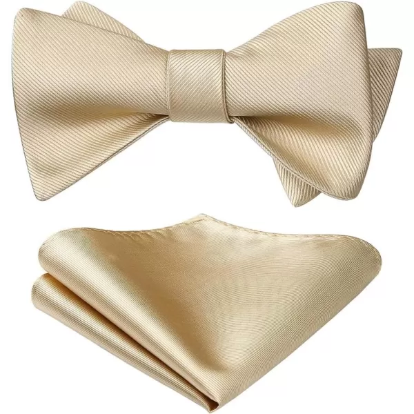 HISDERN Bow Ties for Men Solid Color Self Tie Bow Tie Pocket Square Set Classic Formal Satin Bowties for Tuxedo Wedding Party