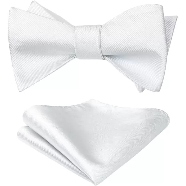 HISDERN Bow Ties for Men Solid Color Self Tie Bow Tie Pocket Square Set Classic Formal Satin Bowties for Tuxedo Wedding Party