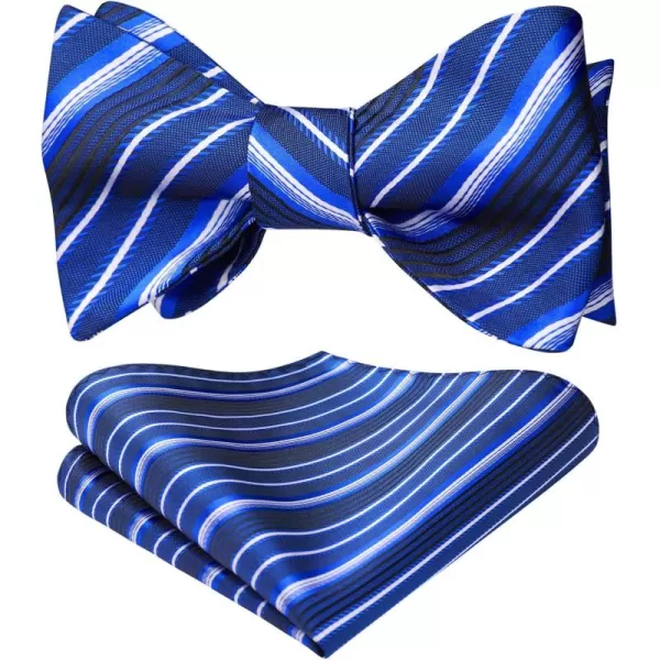 HISDERN Bow Ties for Men Striped Bowties Men's Self Tie Bowtie Handkerchief Formal Tuxedo Wedding Bowties and Pocket Square