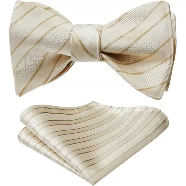 HISDERN Bow Ties for Men Striped Bowties Men's Self Tie Bowtie Handkerchief Formal Tuxedo Wedding Bowties and Pocket Square