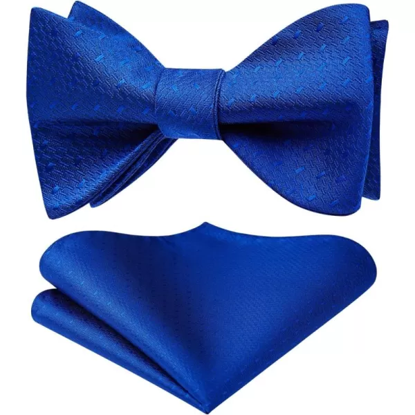 HISDERN Bow Ties for Men Striped Bowties Men's Self Tie Bowtie Handkerchief Formal Tuxedo Wedding Bowties and Pocket Square