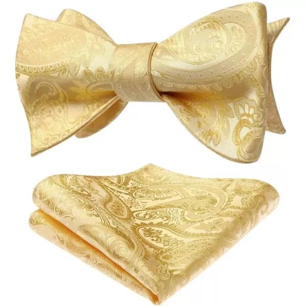 HISDERN Mens Bow Ties Floral Paisley Self Bow Ties for Men Formal Woven Silk Pocket Square Set with Gift Box for wedding
