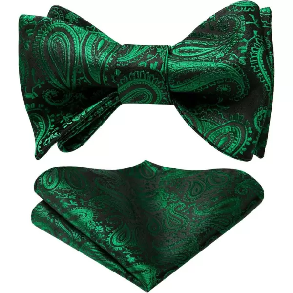 HISDERN Mens Bow Ties Floral Paisley Self Bow Ties for Men Formal Woven Silk Pocket Square Set with Gift Box for wedding