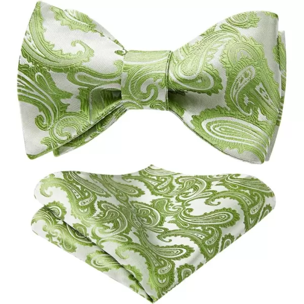 HISDERN Mens Bow Ties Floral Paisley Self Bow Ties for Men Formal Woven Silk Pocket Square Set with Gift Box for wedding