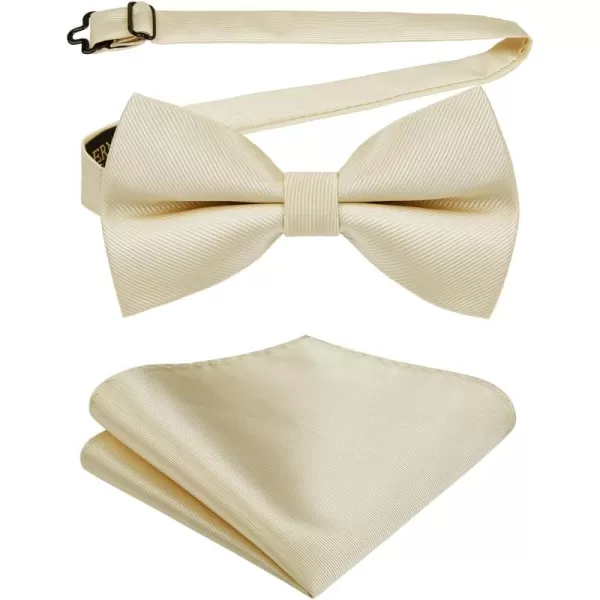 HISDERN Mens Pretied Bow Tie: Solid Color Tuxedo Bowtie and Pocket Square Set - Clip on Wedding Bow Ties for Men