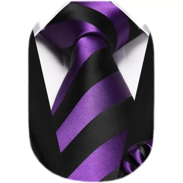 HISDERN Mens Tie Striped Ties and Handkerchief Set Business Formal Woven Pocket Square Wedding College Stripe Necktie