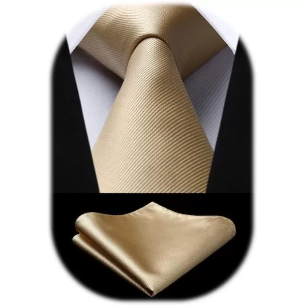 HISDERN Mens Ties Handkerchief Solid Color Ties for Men Necktie with Pocket Square Set for Classic Wedding