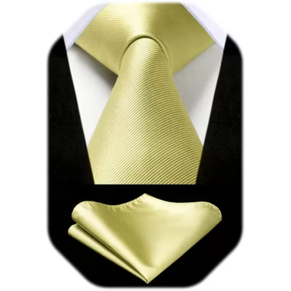 HISDERN Mens Ties Handkerchief Solid Color Ties for Men Necktie with Pocket Square Set for Classic Wedding